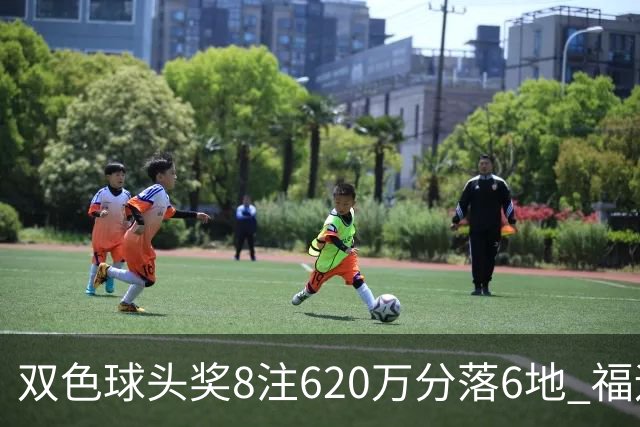 双色球头奖8注620万分落6地 福运奖开824万注