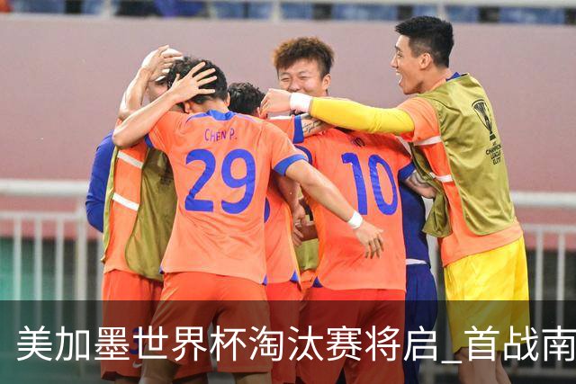 美加墨世界杯淘汰赛将启 首战南非对阵加拿大